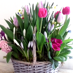 Цветочные  композиции  и  букеты  тюльпанов  к  8  марта!  Подарите  эмоции  и  ощущение  праздника!