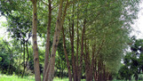 a_54926_75318