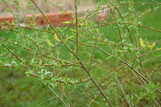 a_55918_75356